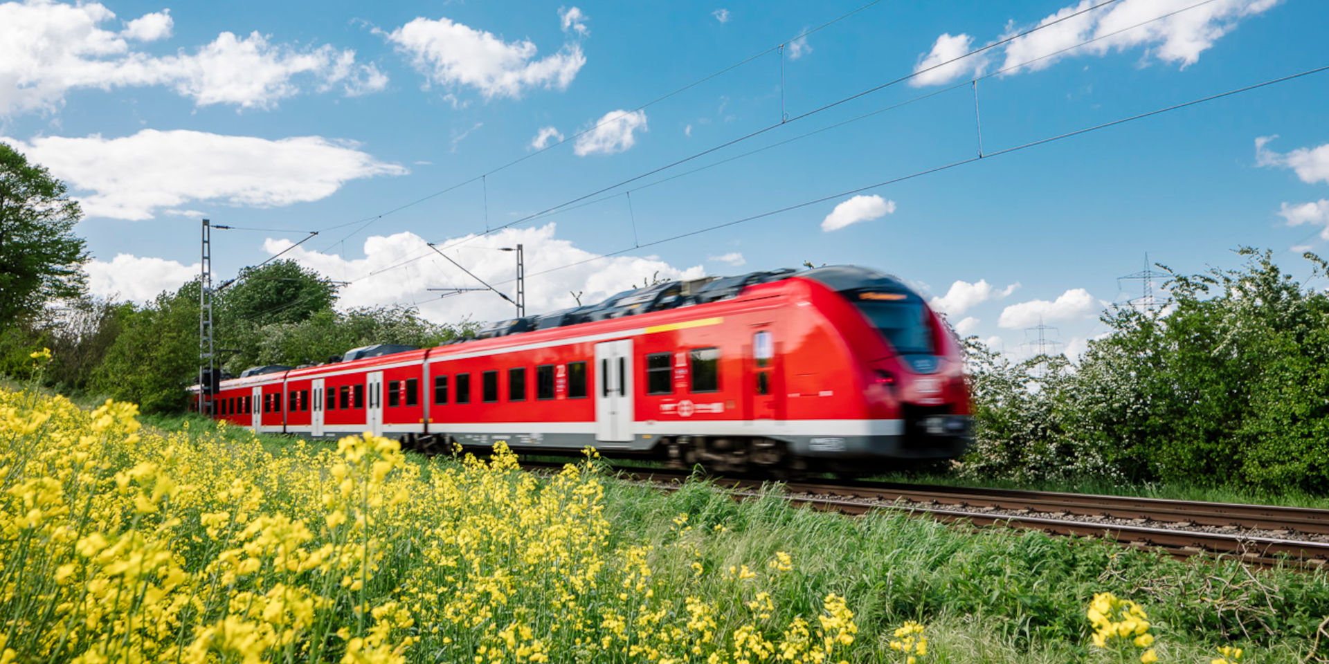 Das sind die Linien