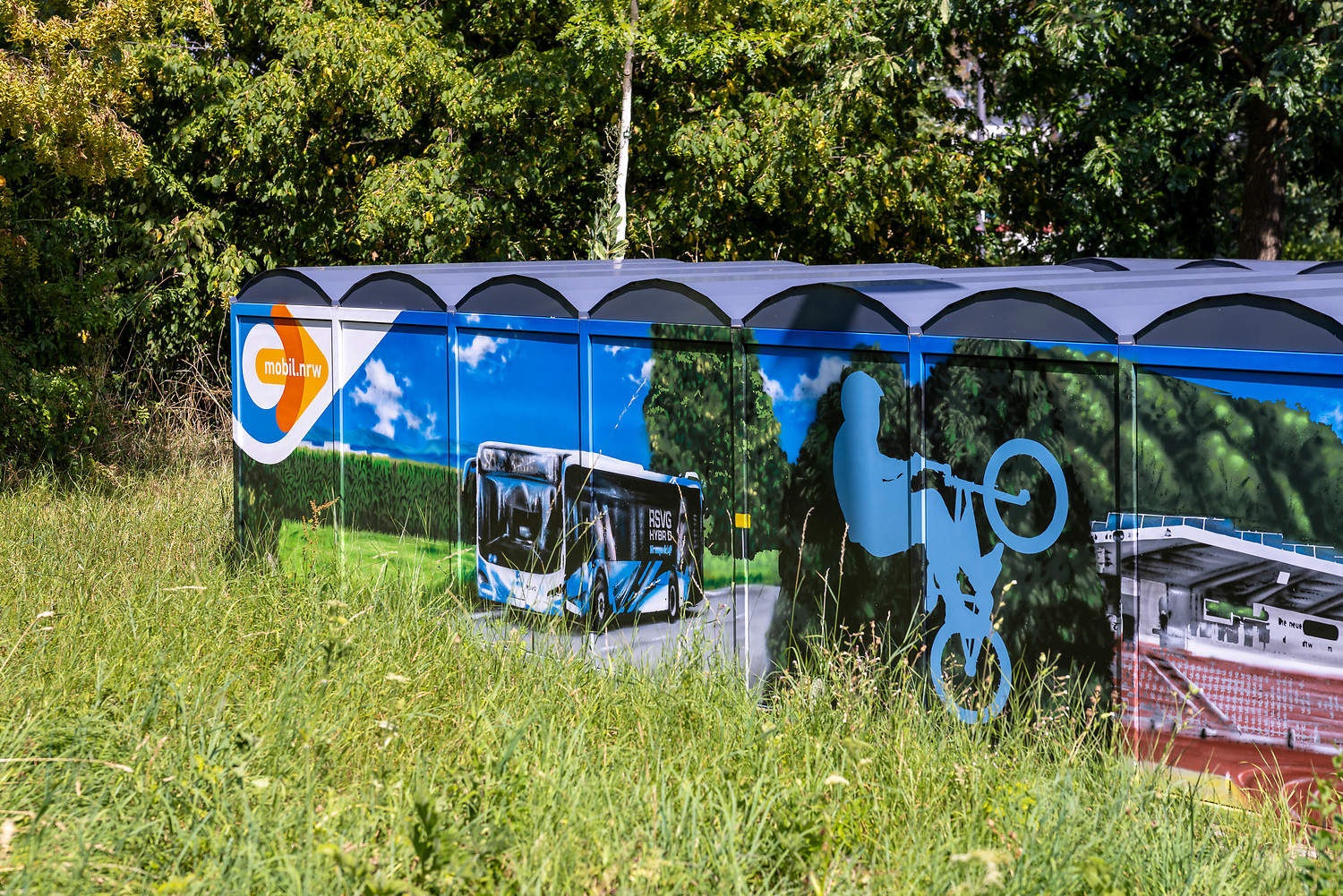Eine Metallbox steht im hohen Gras und ist mit Wandbildern verziert, die einen Stadtbus, eine Person, die einen Fahrradstunt macht, und ein Stadion zeigen. Im Hintergrund sind Bäume und Grünflächen zu sehen.