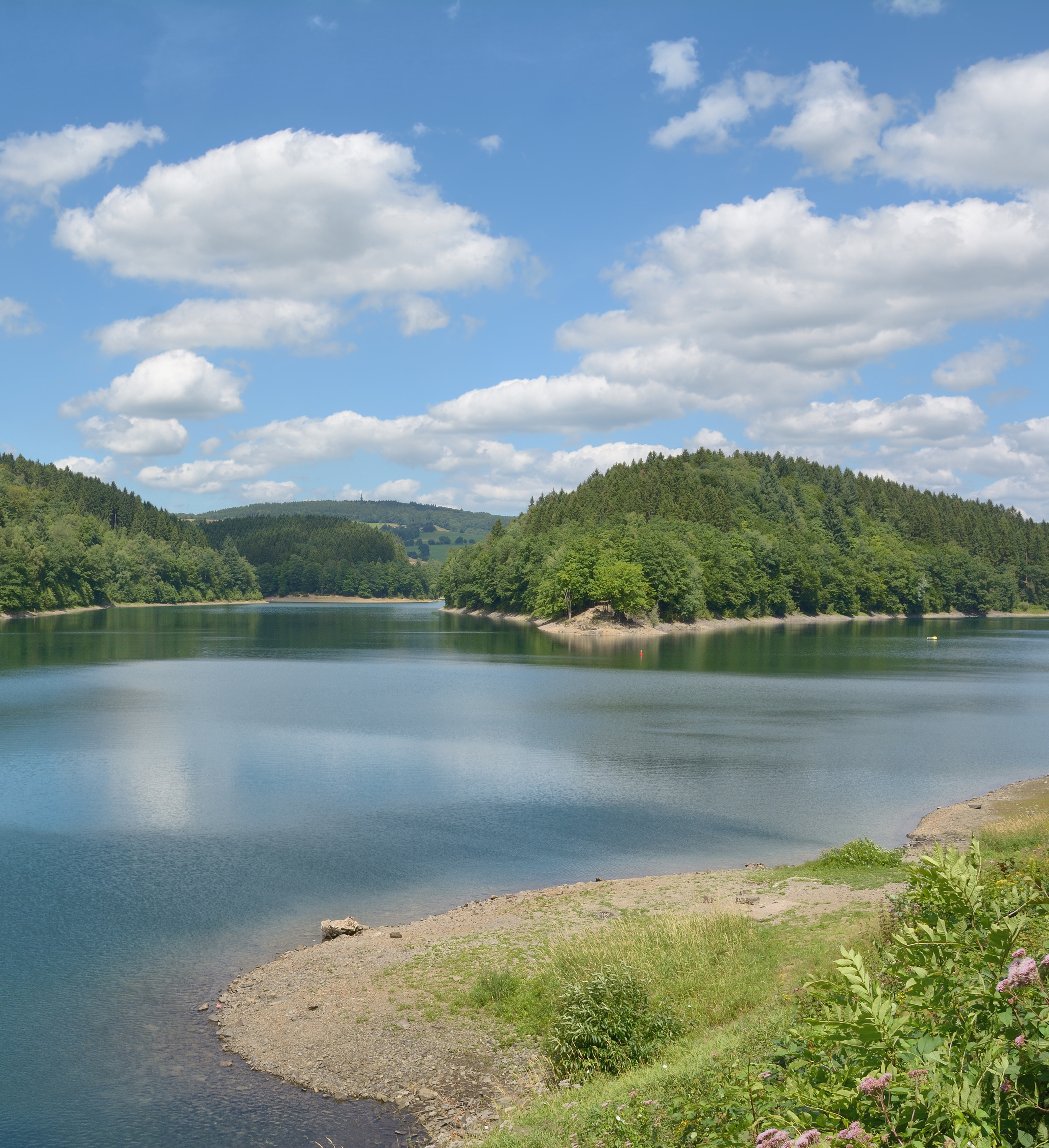 Ein ruhiger See mit felsigem Ufer, umgeben von grünen, baumbestandenen Hügeln unter einem teilweise bewölkten blauen Himmel. Im Wasser spiegeln sich der Himmel und die Bäume. Im Vordergrund sind einige Gräser und Wildblumen zu sehen.