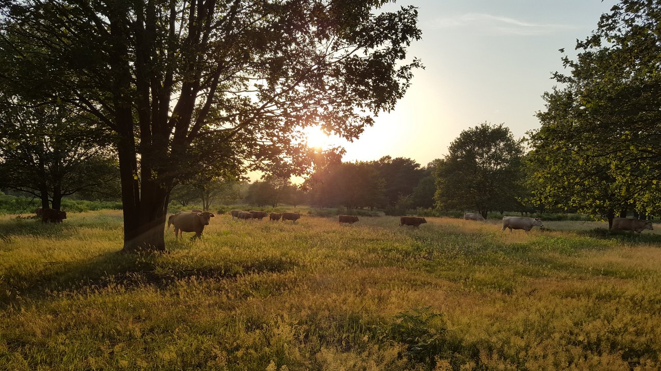 Flora und Fauna vom Feinsten
