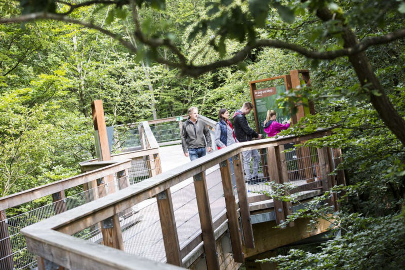 Natur mit allen Sinnen erleben