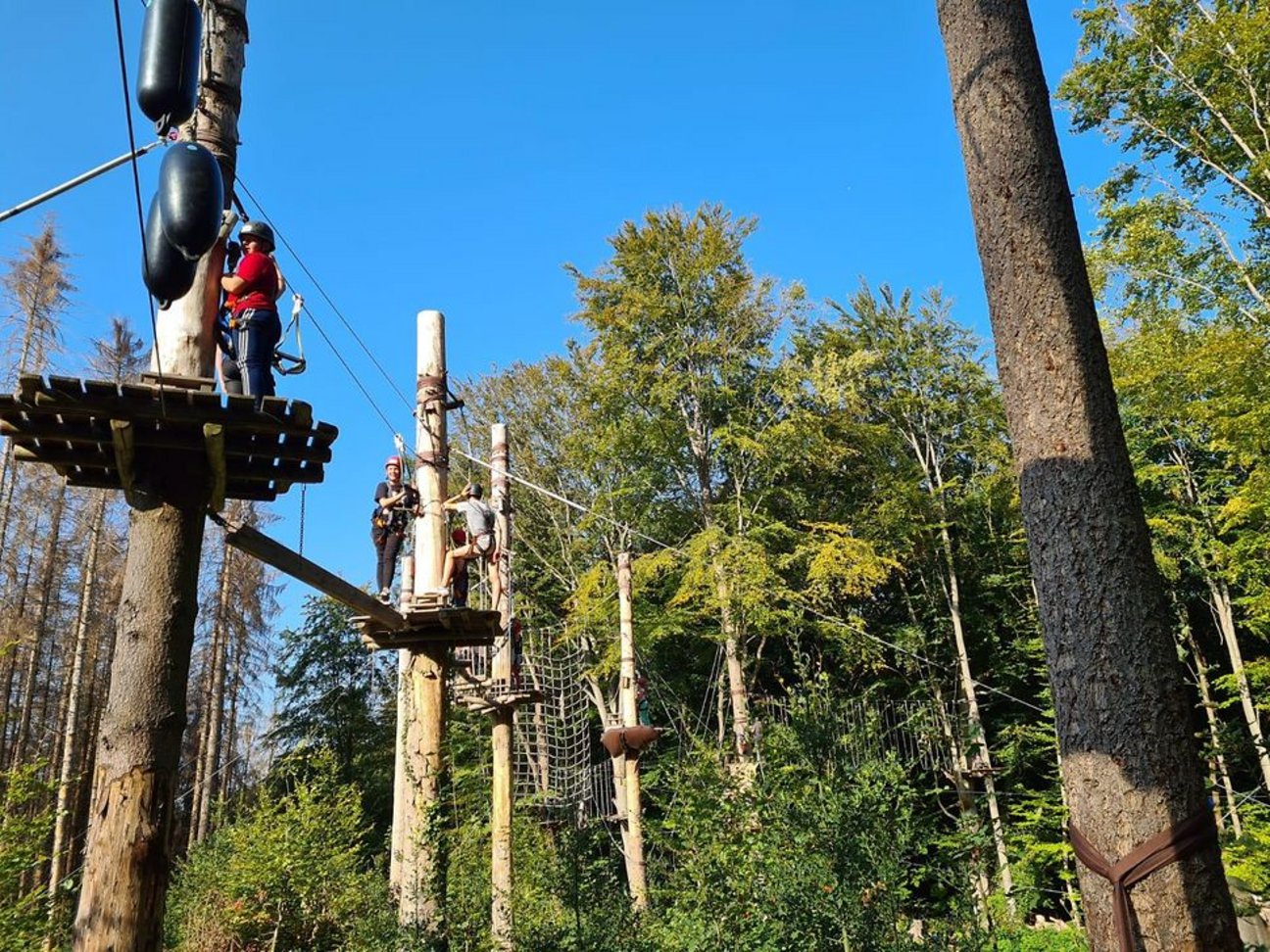 Abenteuer im Kletterwald